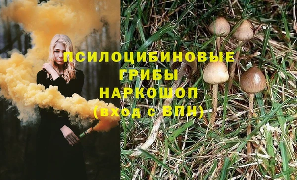а пвп мука Богородицк