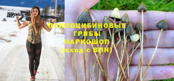 ECSTASY Верея