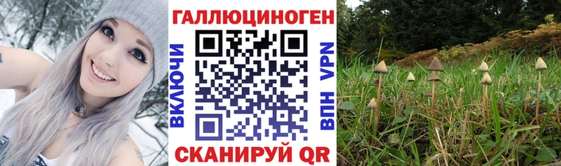 Галлюциногенные грибы прущие грибы  Макаров 